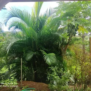 Tropicale Charmant T2 Dans Un Cadre Verdoyant Appartement Gros-Morne